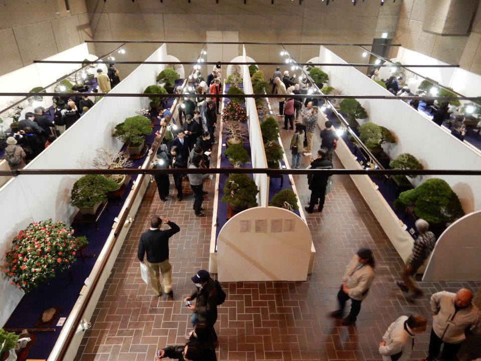 2026 Kokufu-ten Bonsai Exhibition Part 2 – REBS website
